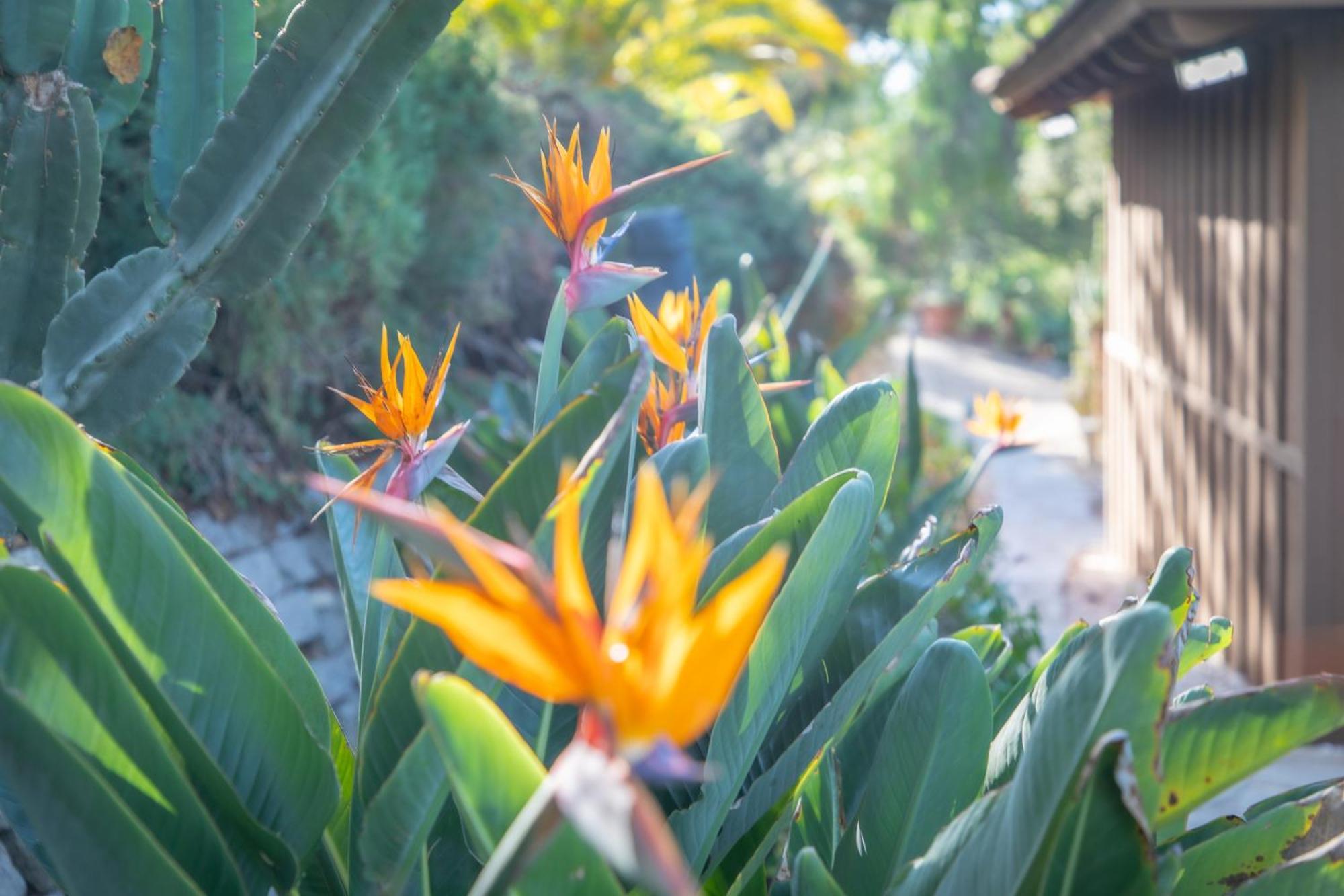 Nature Focused Villa Designed For Wellness Fallbrook Esterno foto